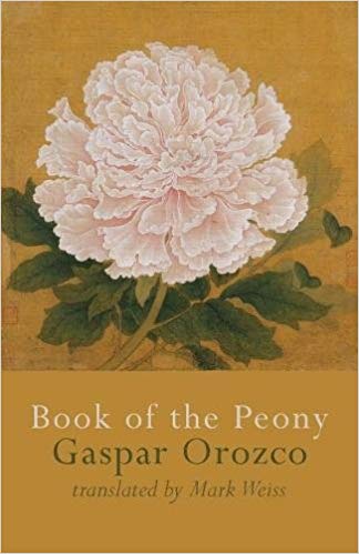 Featured image of THE BOOK OF THE PEONY