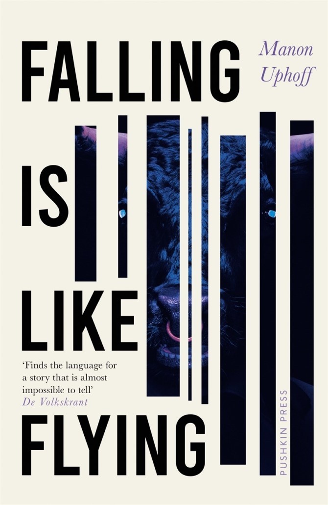 Featured image of Falling Is Like Flying