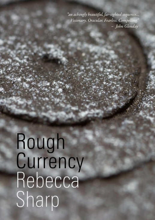 Featured image of Rough Currency