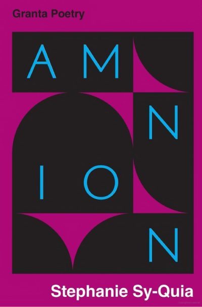 Featured image of Amnion (SHORTLISTED FOR THE FELIX DENNIX PRIZE FOR FIRST COLLECTION)