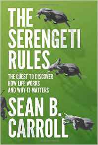 Featured image of The Serengeti Rules: the quest to discover how life works and why it matters