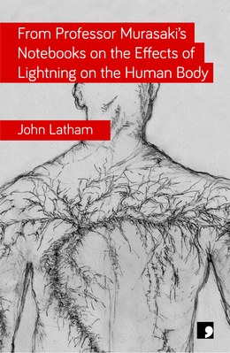 Featured image of From Professor Murasaki’s Notebooks on the Effects of Lightning on the Human Body