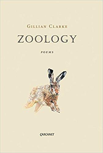 Featured image of Zoology