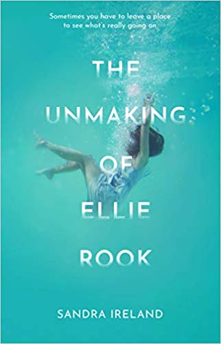 Featured image of THE UNMAKING OF ELLIE ROOK