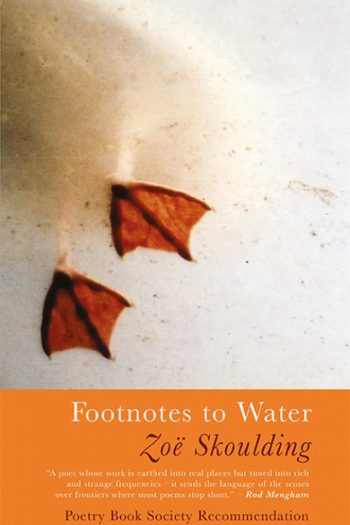 Featured image of Footnotes to Water