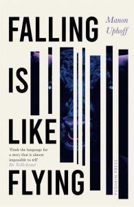 Falling Is Like Flying book cover