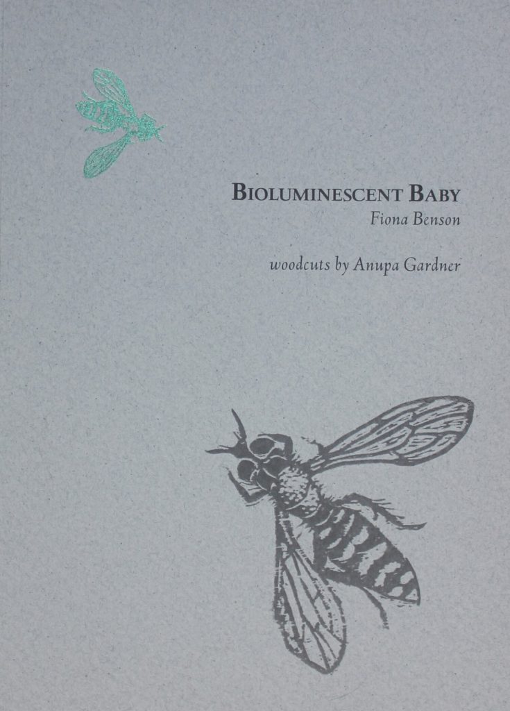 Bioluminescent Baby book cover